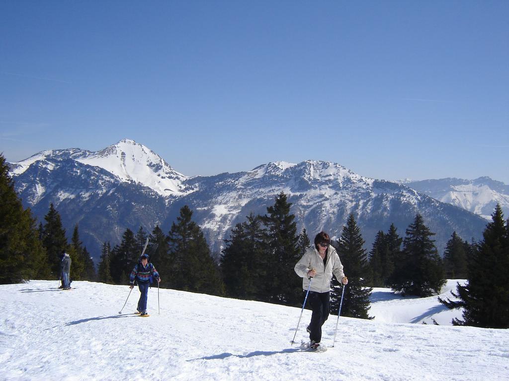 L'edelweiss Appartement