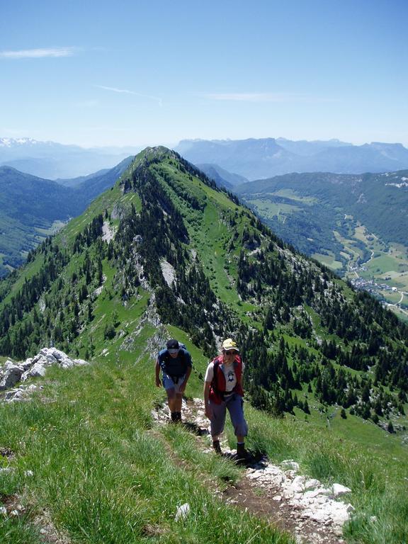 L'edelweiss *